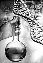 亞洲生物醫(yī)學工程，廣州啟德，理工科留學